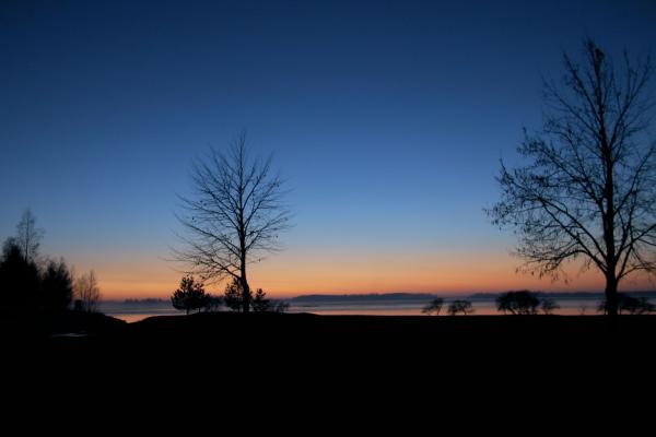 The leafless trees shiver in the cold fall air waiting for the snow to come and cover the ground. The sun has just gone below the horizon and a soft fog is rising from the ice covered sea.