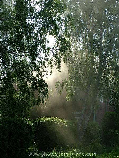 backlit smoke